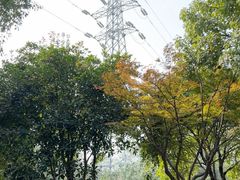 -漕湖湿地公园