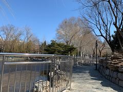 -黄村公园