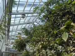 -国家植物园南园