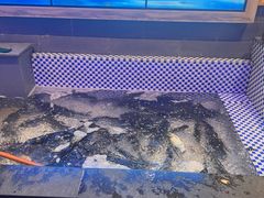 -山河屯铁锅炖鲜鹅·东北菜(开发区一店)