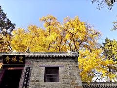 -浮来山风景区