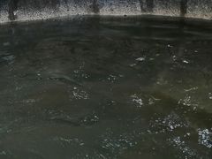 -华侨城阳宗海海景温泉