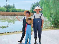 -上海长兴岛郊野公园