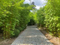 -崇阳三特浪口温泉