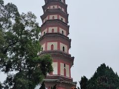 -广州莲花山旅游区