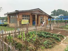 -海珠儿童公园