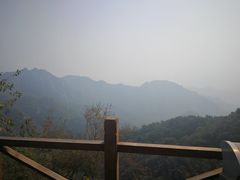-大岭沟猕猴桃谷风景区