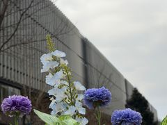 -北京北辰洲际酒店