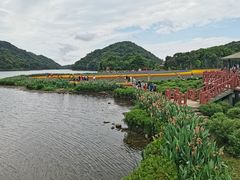 -广州市石门国家森林公园