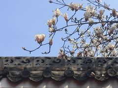 -长春观