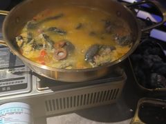 -Darling Queen·Mini·Live·House