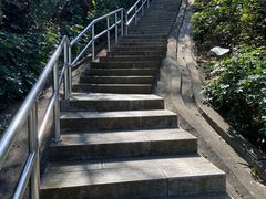 -野狸岛