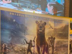 -CGV星星影城(颐堤港ScreenX店)