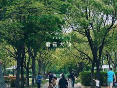 -新江湾城公园