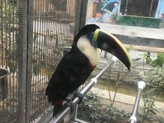 -南宫五洲植物乐园