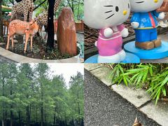 -晓港公园