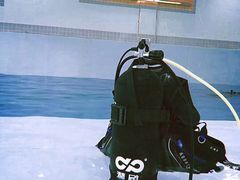 -上海潜殿潜水中心