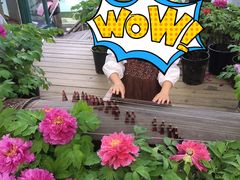 -华南国家植物园-售票处