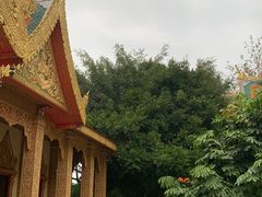 -西双版纳勐泐文化旅游区