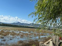 -青龙湖公园