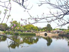 -无锡蠡湖国家湿地公园-蠡园