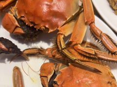-禾斗海鲜自助(市南银座店)