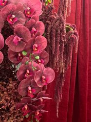 -琥珀婚礼策划AMBER WEDDING