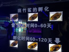 -大连圣亚海洋世界
