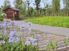 -白鹭湾湿地公园