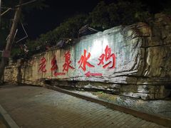 -老幺泉水鸡