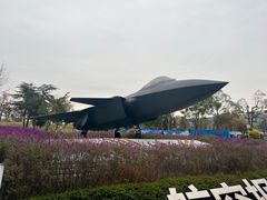 -成飞公园