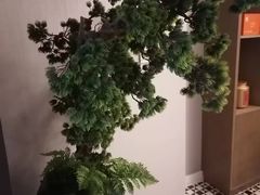 -浅深(世茂滨江精品店)