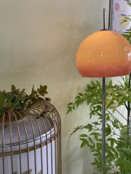 -变美丽半永久纹眉连锁·机器野生眉•洗眉