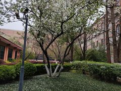 -上海交通大学董浩云航运博物馆