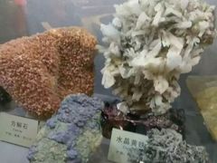 -陕西自然博物馆