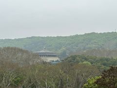 -武汉大学-樱园