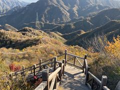 -大岭沟猕猴桃谷风景区