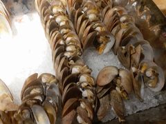 -威珀斯酒店·珀萃美食餐厅 | 海鲜刺身·现烤生蚝·特色烤肉