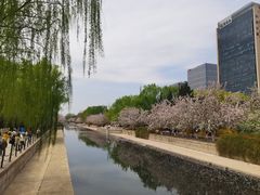 -元大都城垣遗址公园