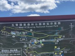 -五营红松林海景区