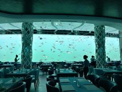 大堂-瑞德姆美人鱼海底演艺主题餐厅(亚龙湾店)