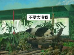-广州动物园
