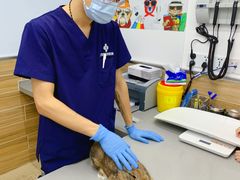 -爱侣宠医·鹦鹉专科·小型哺乳类·异宠专科(灵石路店)