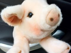 -呷哺呷哺(松江开元店)