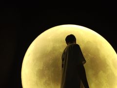 -深圳独角兽星空艺术馆