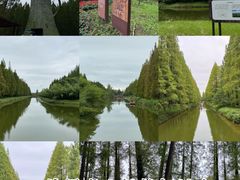 -黄海国家森林公园