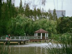 -新虹桥中心花园