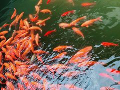 -浙江省博物馆(孤山馆区)