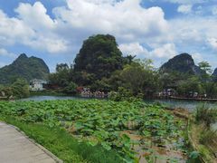 -靖西鹅泉风景区