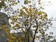 -洲头咀公园